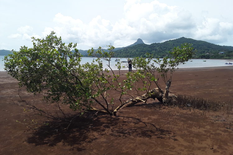 Étude environnementale et scenarii pour projet d’écotourisme à Mayotte