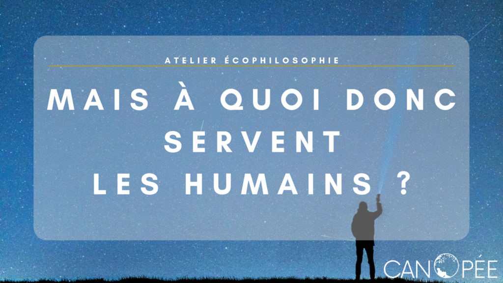 Atelier Écophilosophie en ligne : "Mais à quoi donc servent les humains ?"