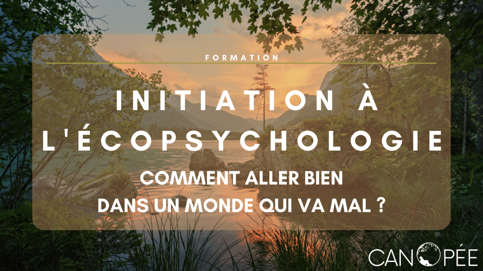 Formation : "Initiation à l'écopsychologie : Comment aller bien dans un monde qui va mal ?"