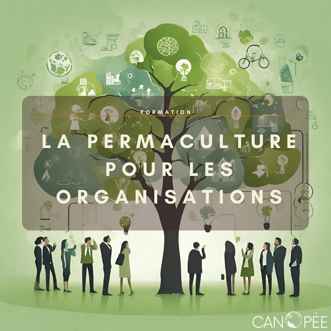 Formation La permaculture pour les organisations