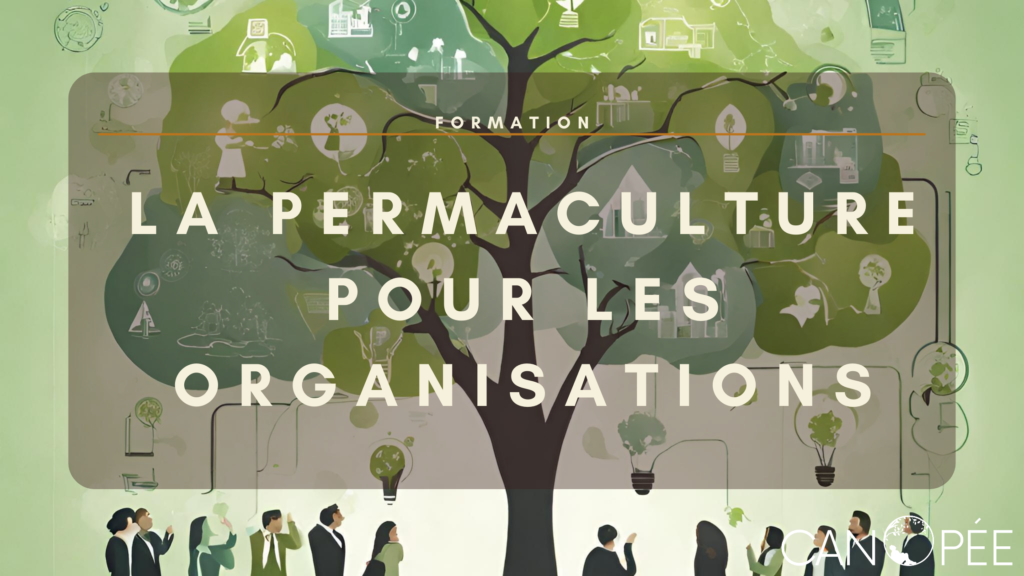 Formation : "La Permaculture pour les organisations" - INSCRIPTIONS CLOSES