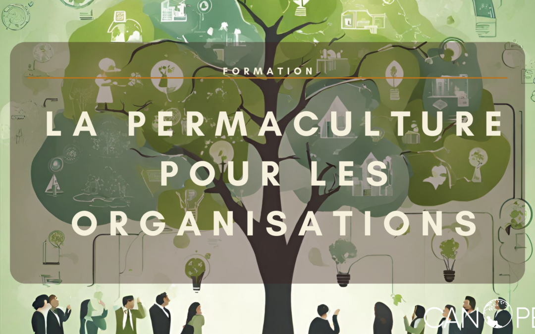 Formation : « La Permaculture pour les organisations » – INSCRIPTIONS CLOSES