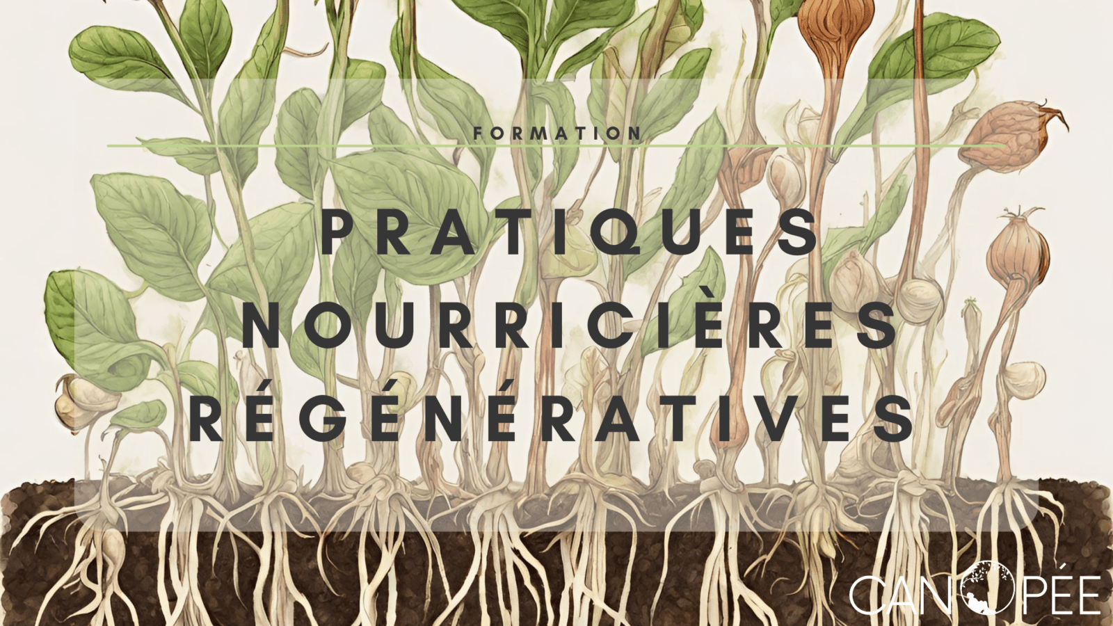Formation Pratiques nourricières régénératives