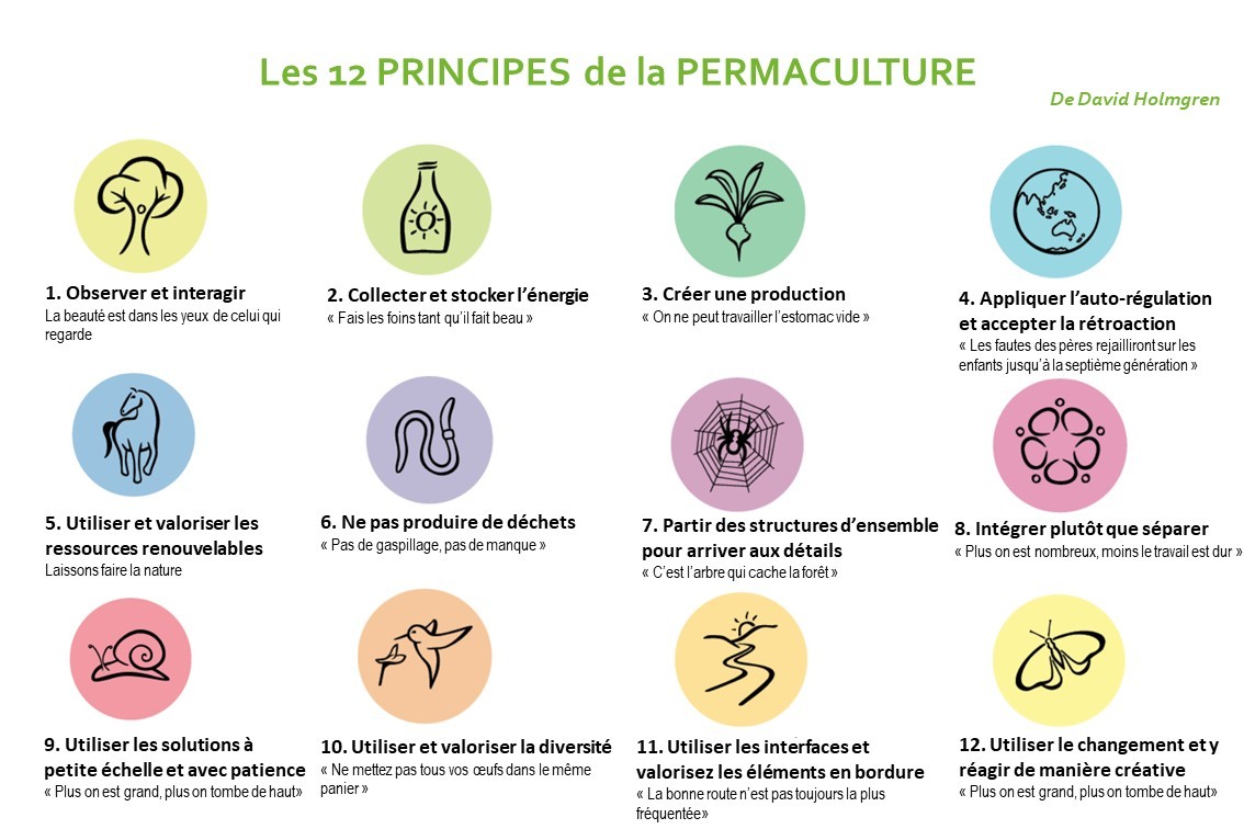 les 12 principes de la permaculture