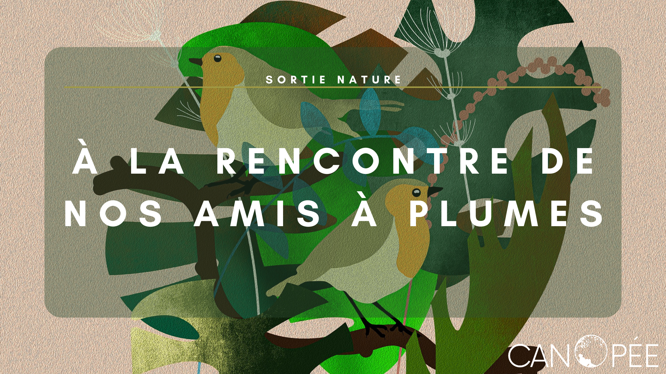 Voyage ornithologique: À la rencontre de nos amis à plumes