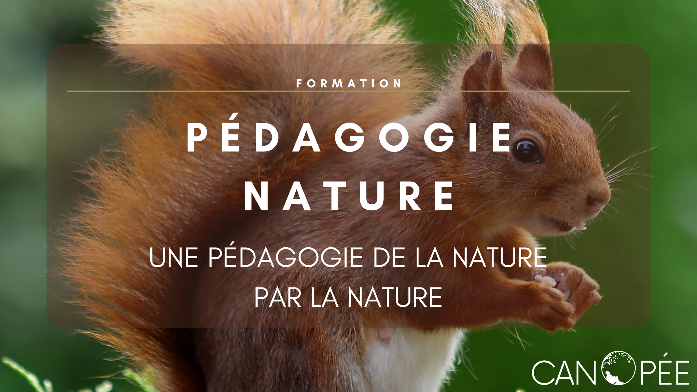 Formation Pédagogie Nature