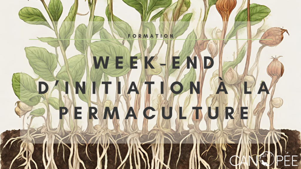 Week-end d'initiation à la permaculture