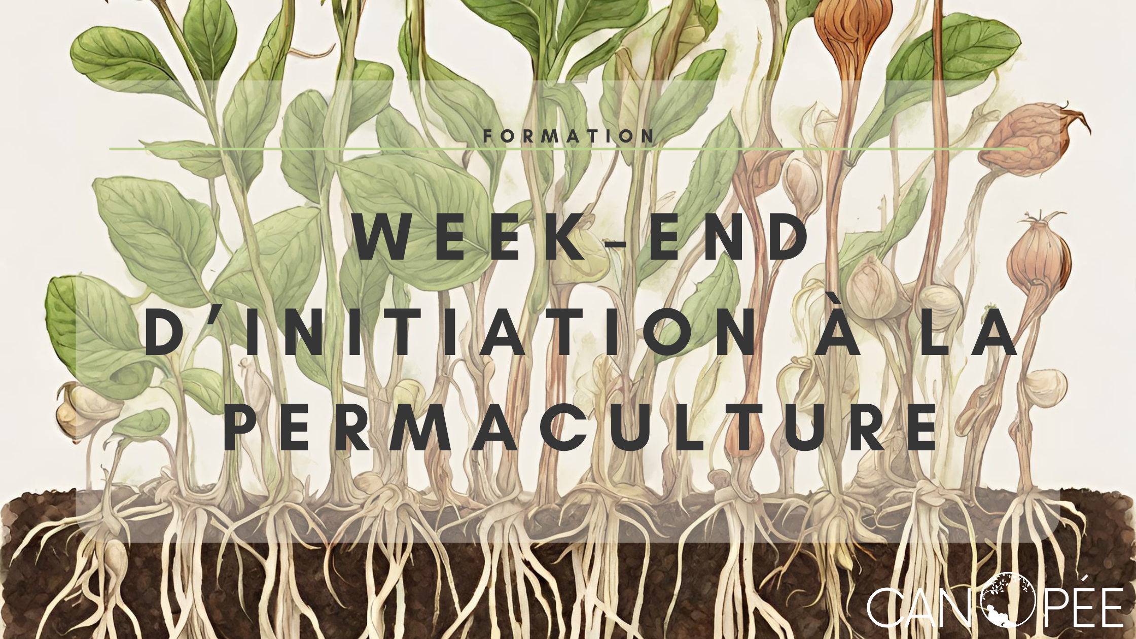 Week-end d'initiation à la permaculture