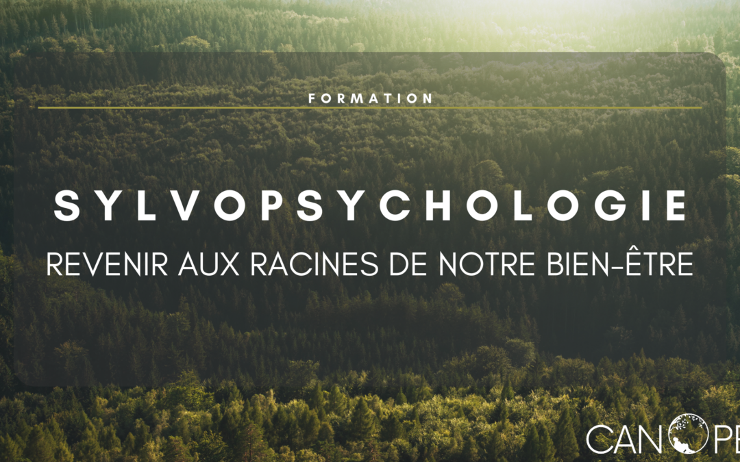 Formation Sylvopsychologie