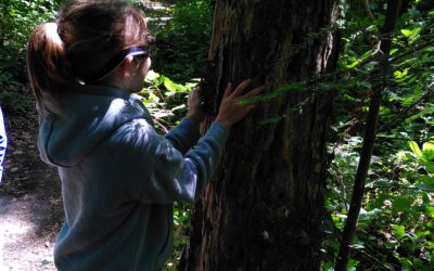 Bain de forêt avec des CE1-CE2
