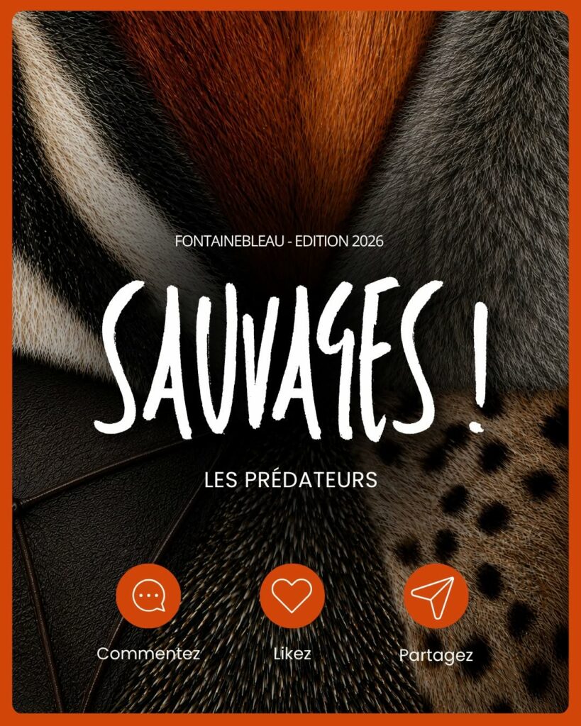 Les 24 heures du Buen Vivir - Inventons l'avenir de la cohabitation avec le sauvage !