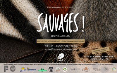 Inventons le futur de la cohabitation avec le sauvage !
